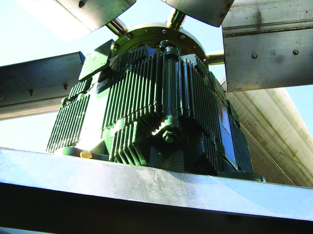 Motor